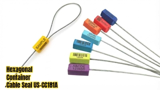Zeshoekige wegwerpkabelafdichtingen Veilige pakketten
