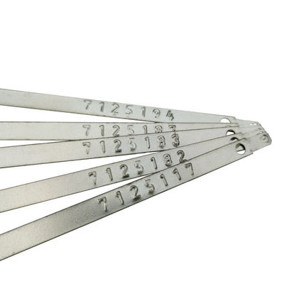 118*8,2*0,7 mm Strak vergrendelend metalen veiligheidszegel voor US-MS01-container