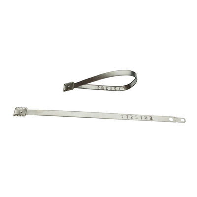 ISO 17712 gecertificeerd metalen bandzegel voor veilige manipulatiebeveiliging 118 mm totale lengte