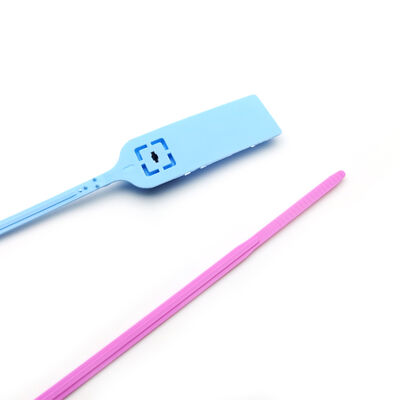 Trek strak plastic zegel metalen invoegplaat platte staart wegwerp aangepast veiligheidszegel tag